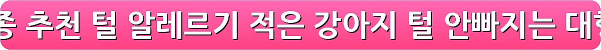 털 안 빠지는 강아지 견종 추천 털 알레르기 적은 강아지 털 안빠지는 대형견 소형견_9
