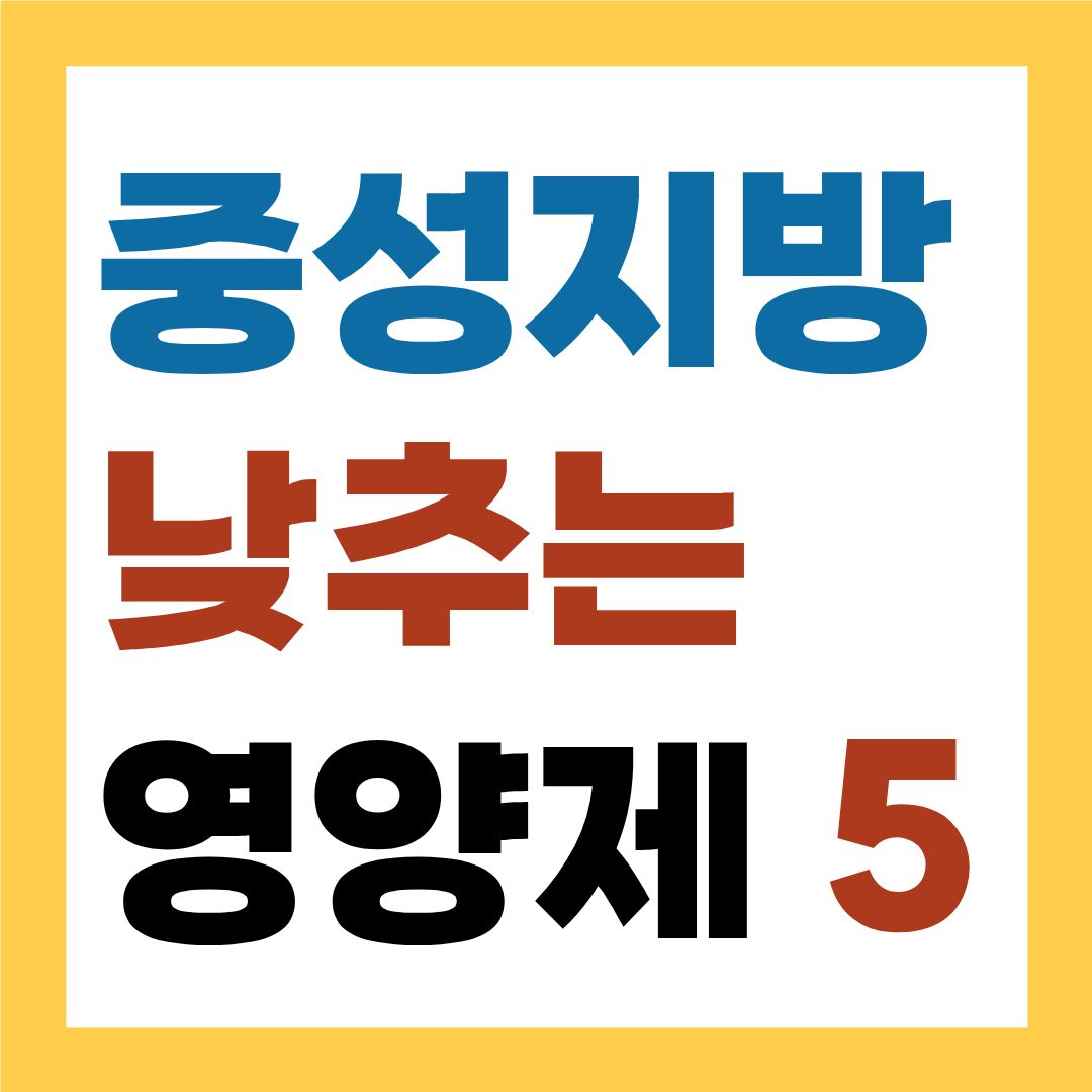 중성지방 낮추는 영양제 BEST 5
