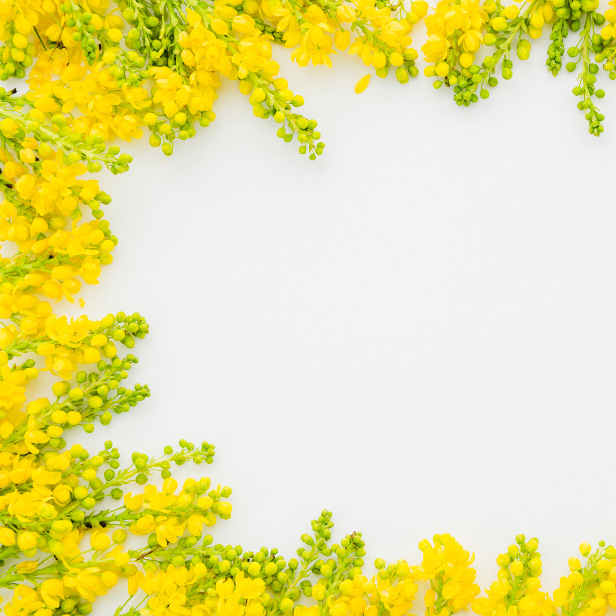 전주한옥마을 봄꽃축제