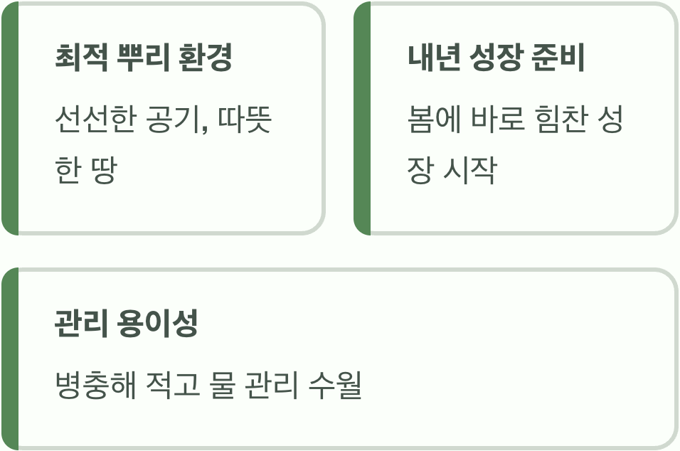 가을 식재, 안정적인 뿌리내림의 지혜