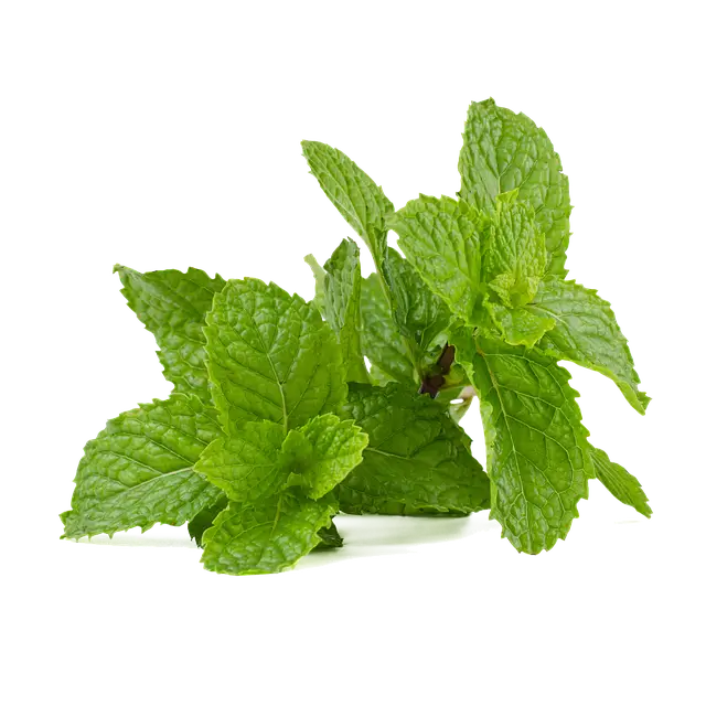 호텔방에 진드기 수십 마리&hellip;온 가족 병원 치료 호텔대처에 따른 대응방법 