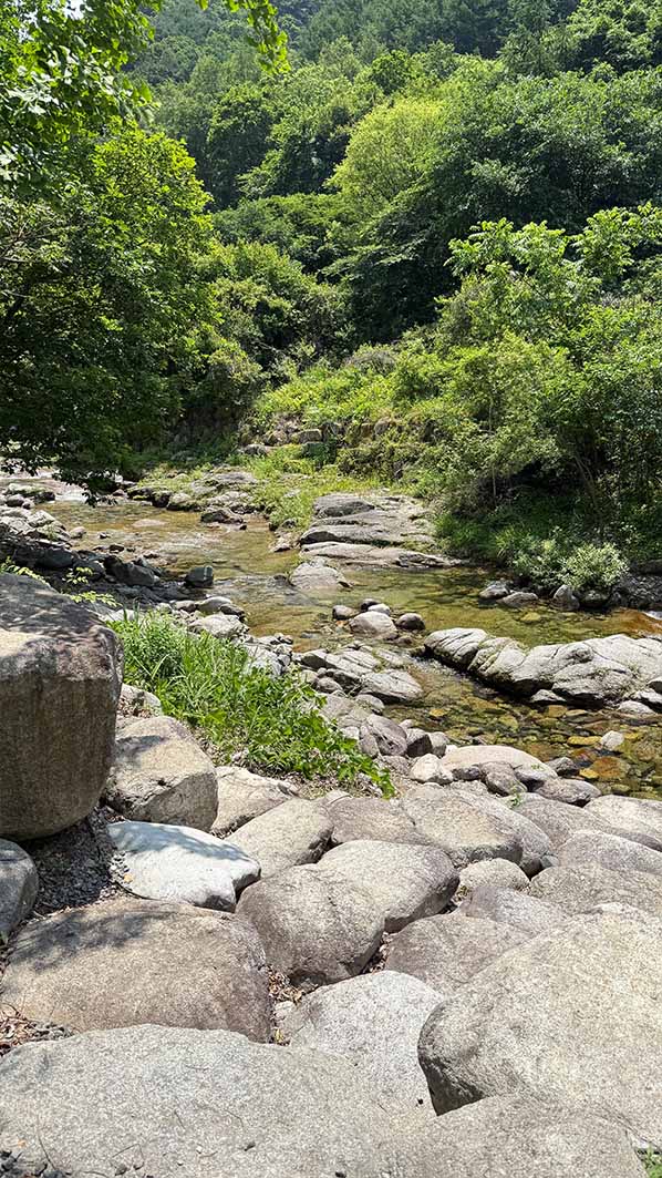 강원도횡성계곡캠핑장_아름채캠핑장