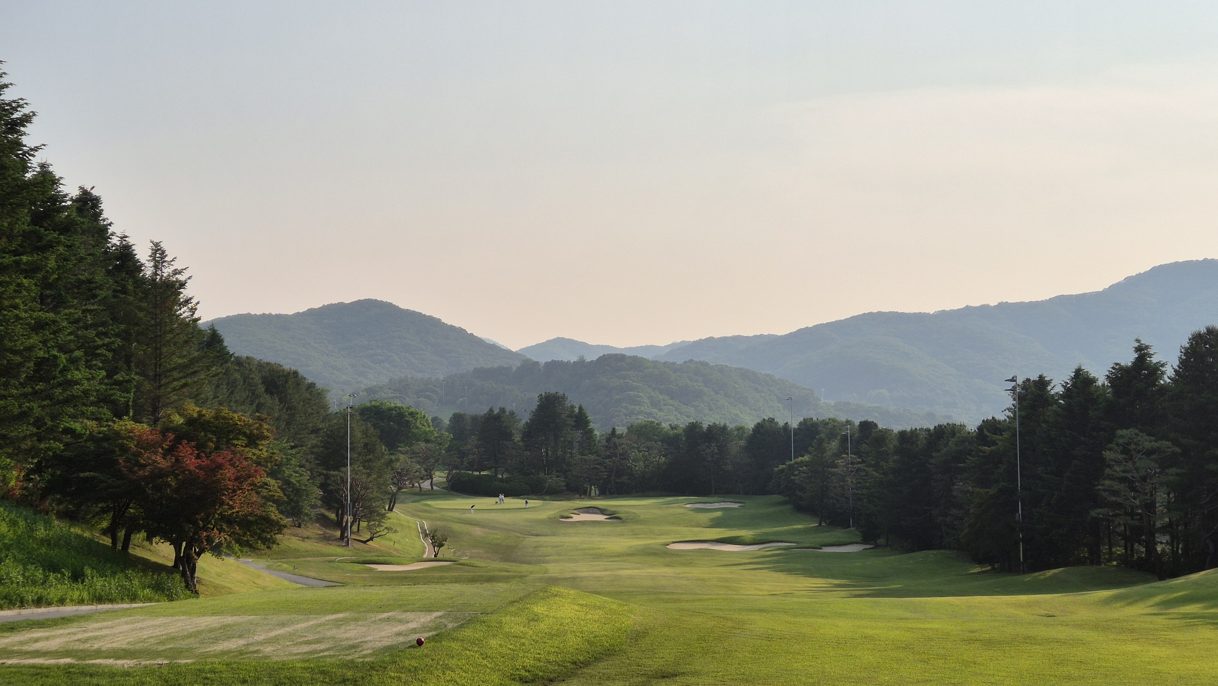 이포cc 라운드 후기