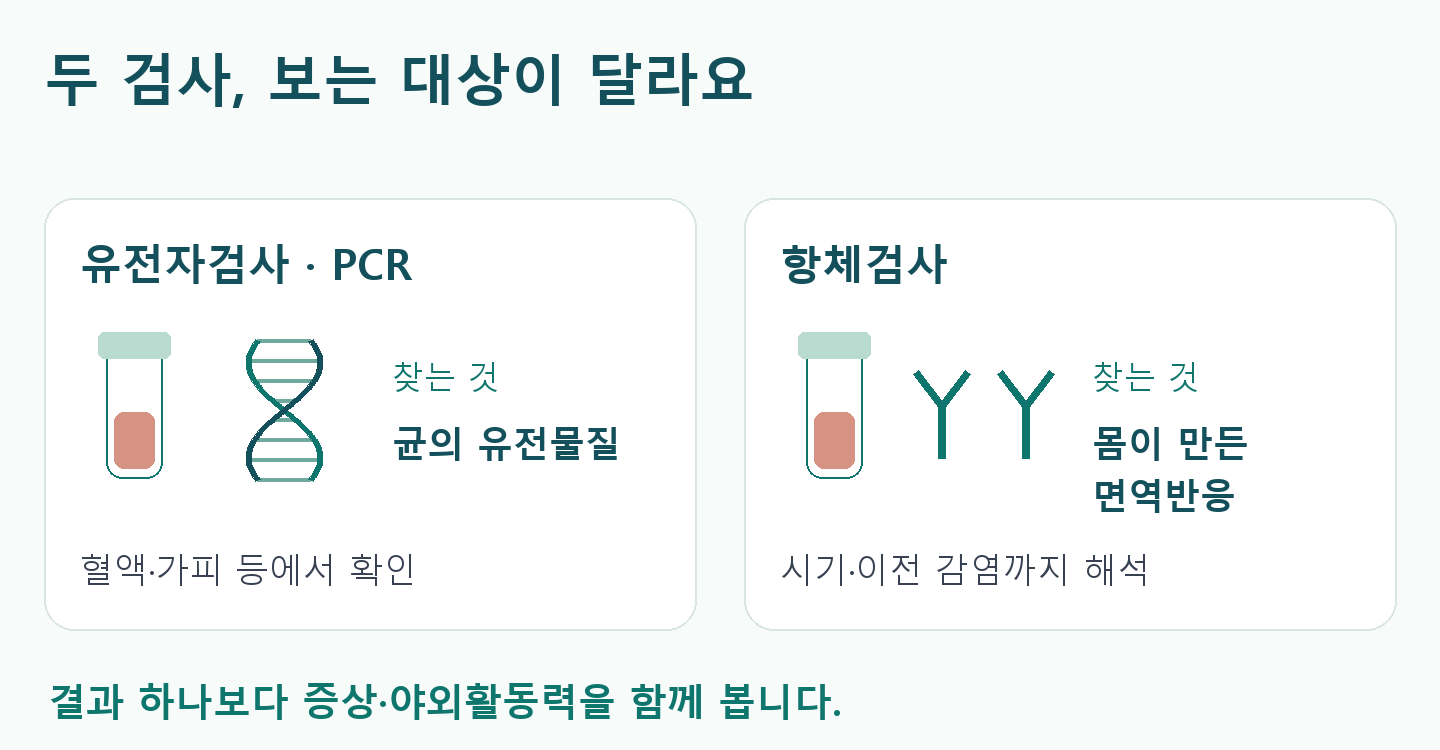 혈액 시험관과 유전물질&middot;항체 도식의 비교. PCR은 균의 유전물질, 항체검사는 몸의 면역반응을 확인. 검사 시기와 이전 감염을 해석하며 증상&middot;노출력도 함께 평가.