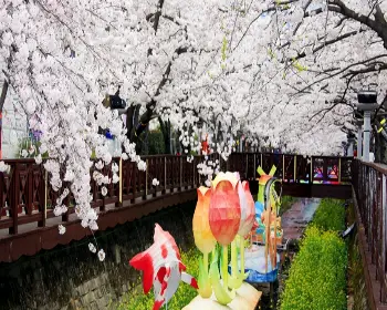 진해군항제_6