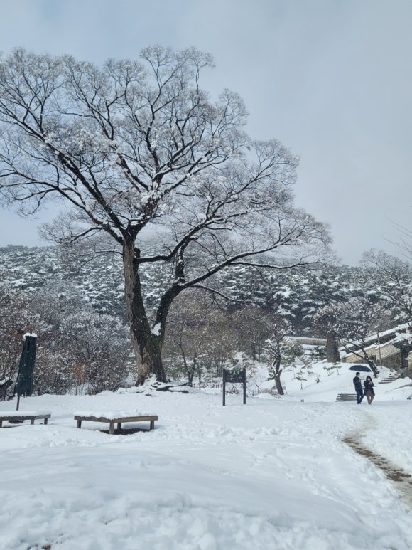곤지암 리조트 스키장