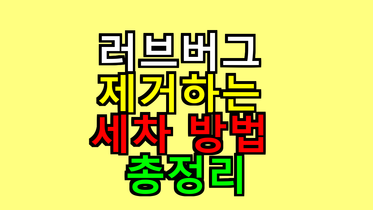 러브버그 제거하는 세차 방법 총정리