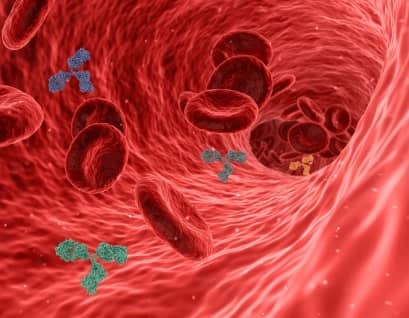 자가면역 수포성 피부질환: 천포창 최신 치료전략