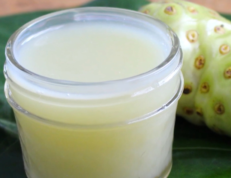 노니 효능 부작용