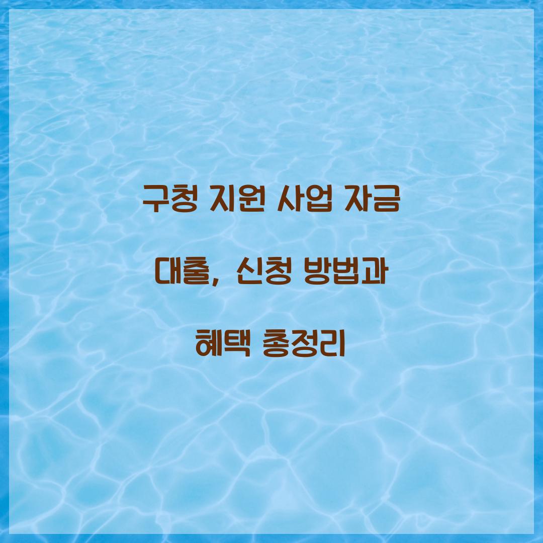 구청 지원 사업 자금 대출
