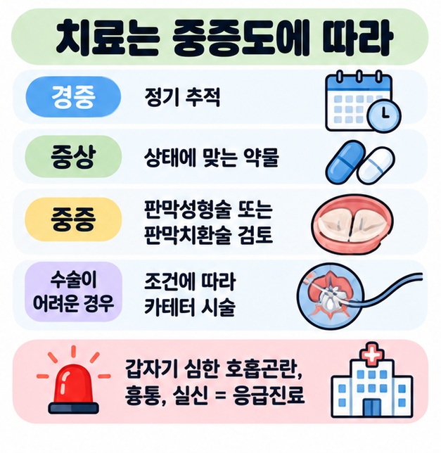 승모판 폐쇄부전증은 심장초음파로 추적하고 중증도와 증상에 따라 경과관찰, 약물, 판막성형술, 판막치환술, 카테터 시술을 검토하도록 정리한 카드
