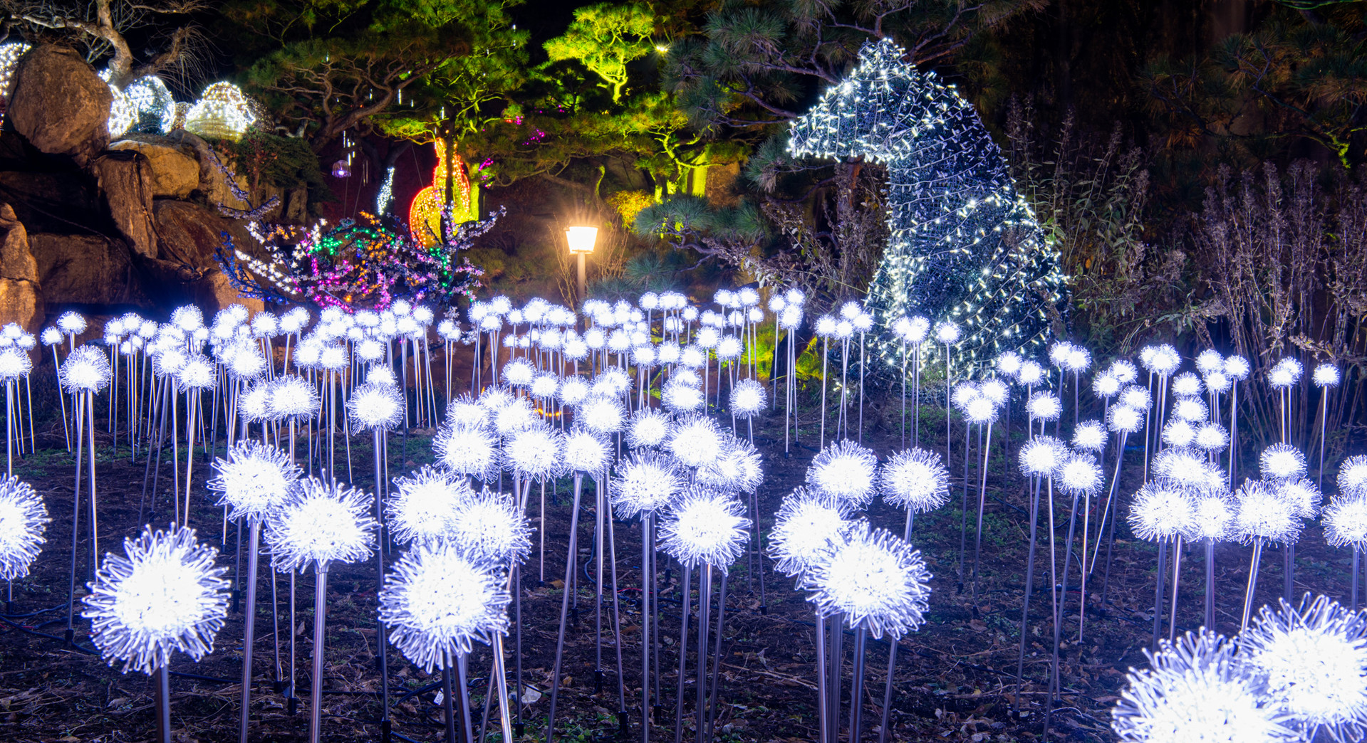 허브아일랜드 야경