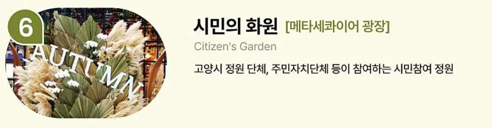 고양가을꽃축제