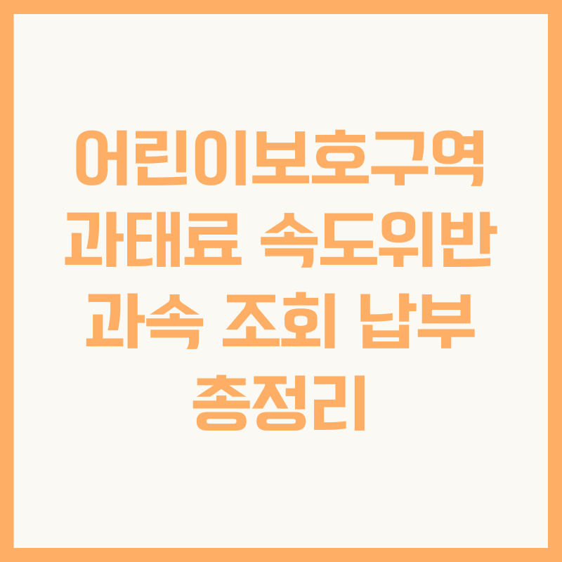 어린이보호구역 과태료 속도위반 과속 조회 납부 총정리