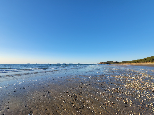 태안 해안가입니다.