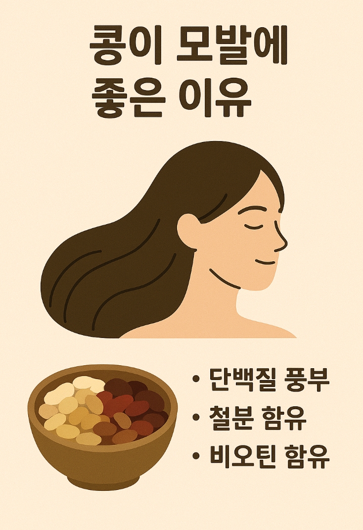 콩이 모발에 좋은 이유