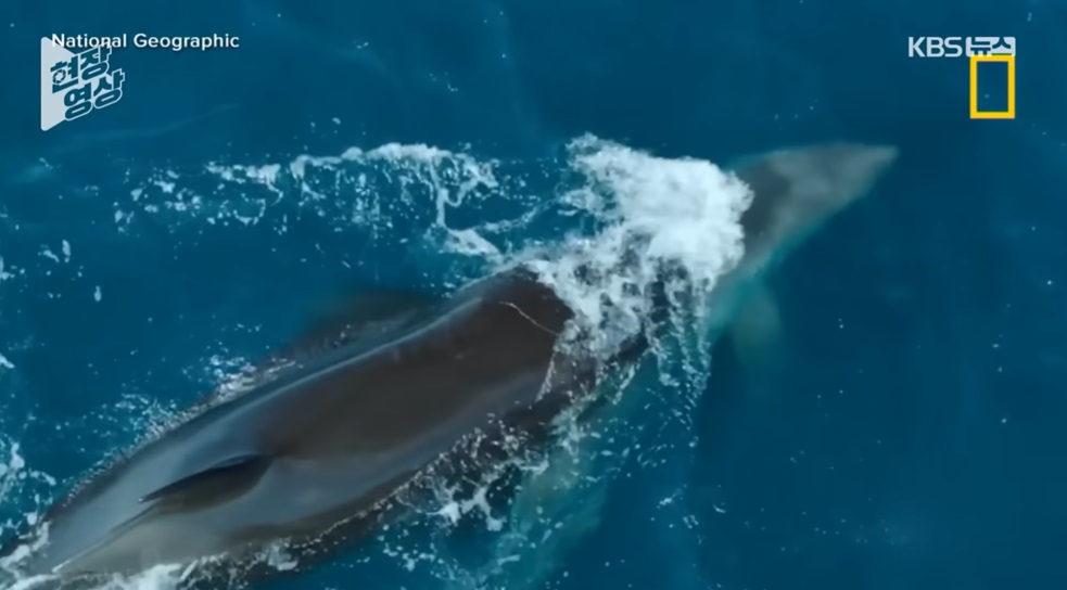 해양생태계의 기후변화가 주는 변화