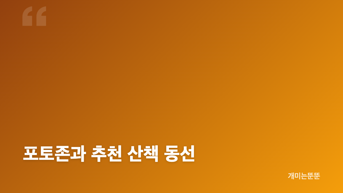 신정호 별빛축제 야간 산책의 매력