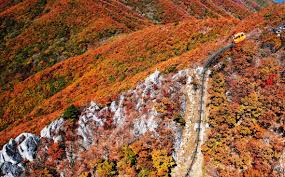 대봉산 단풍명소