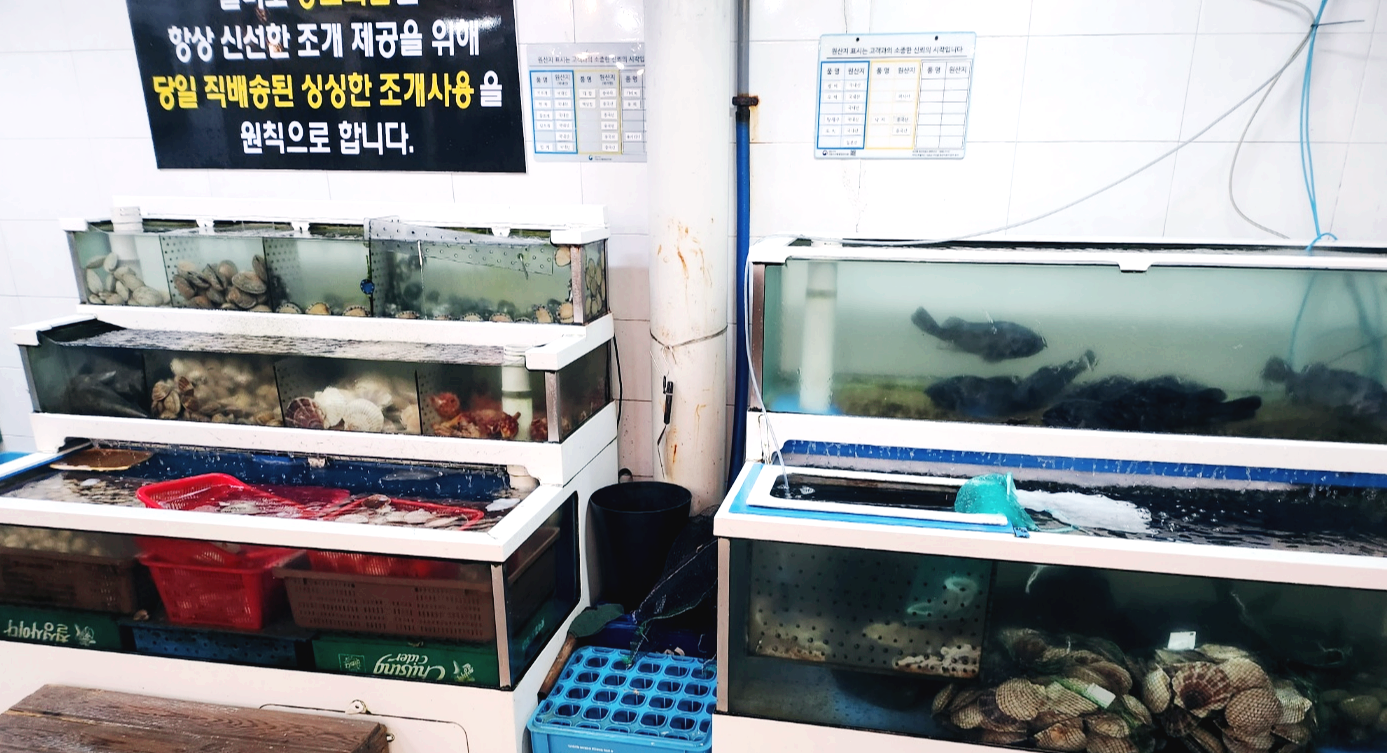 월미도 송도회집 조개구이 무한리필
