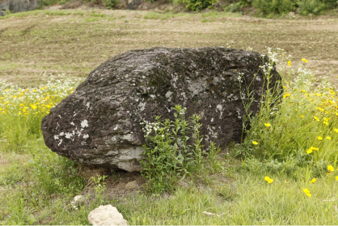 세계가 주목한 한국 고인돌|고창·화순·강화 유적 완전 정리 (여행·역사·유네스코)