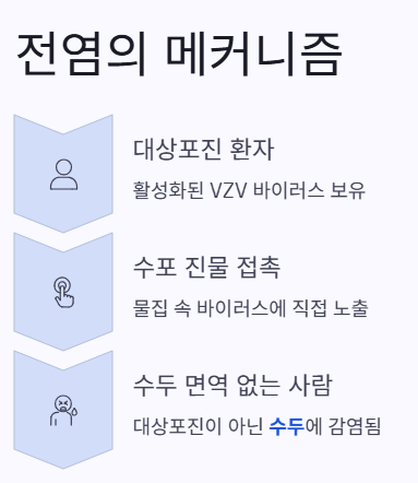 전염의 메커니즘