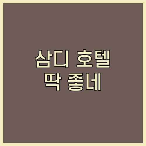 다낭 삼디 호텔 1박 후기 공항 가기