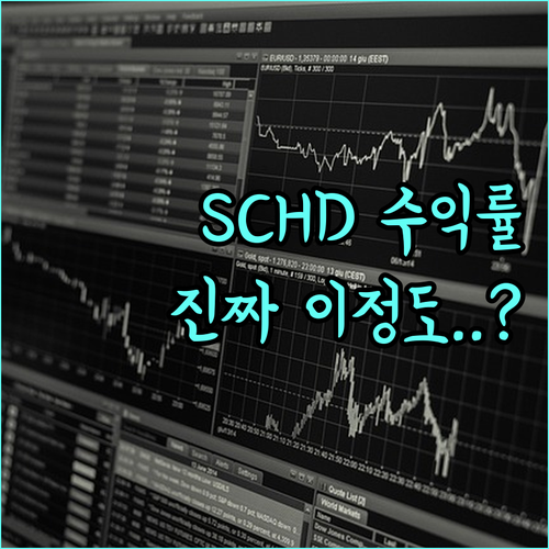 배당 성장 ETF SCHD 수익률과 ..
