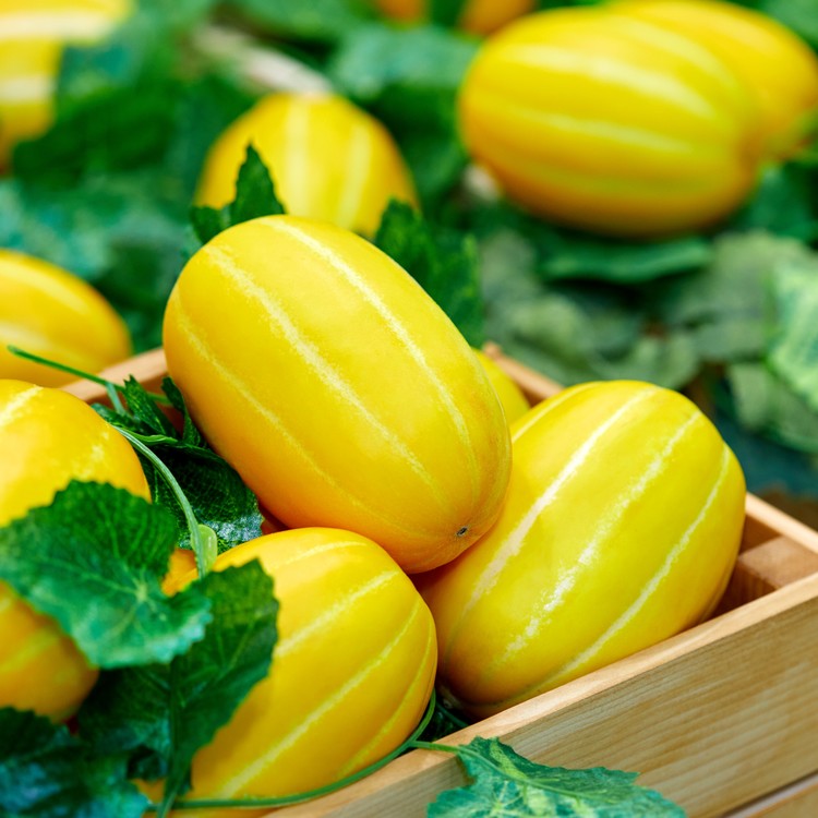 참외의 효능 20가지