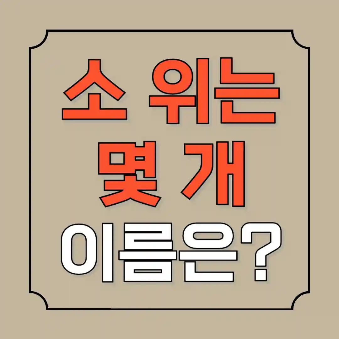 소 위는 몇개 부위별 이름