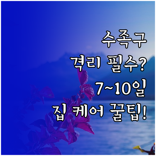 수족구 전염 기간 7~10일 격리와 ..