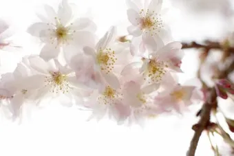 2025년 4월 달력 바탕화면 이미지 모음_6