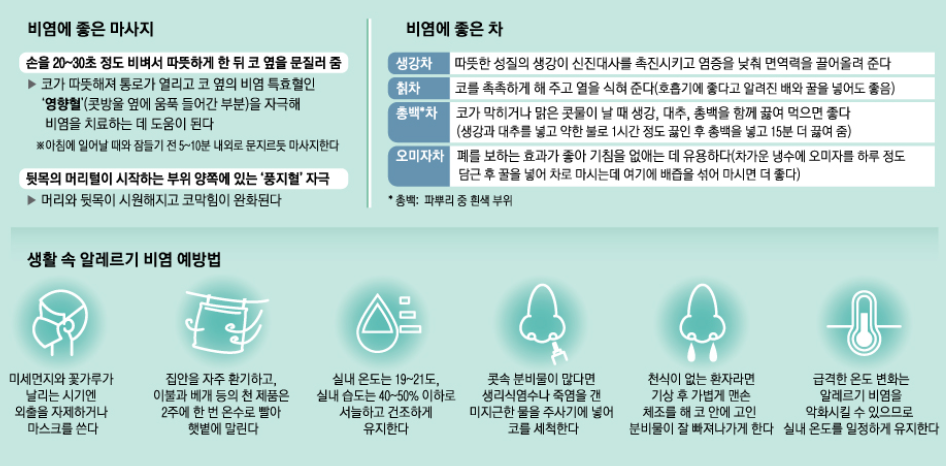 생활 속 알레르기 비염 예방법 비염에 좋은 마사지 방법