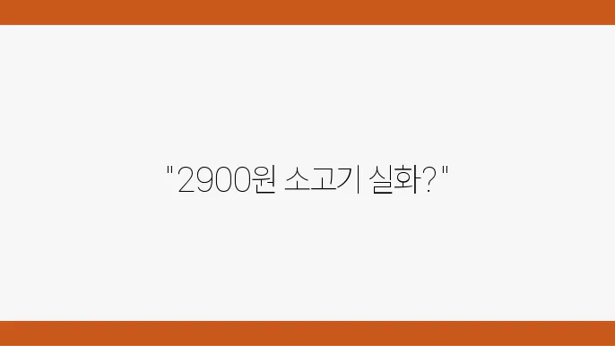 가성비 좋은 한우정 - 2900원 소고기 등심 맛집 정보