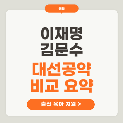 이재명 대선공약