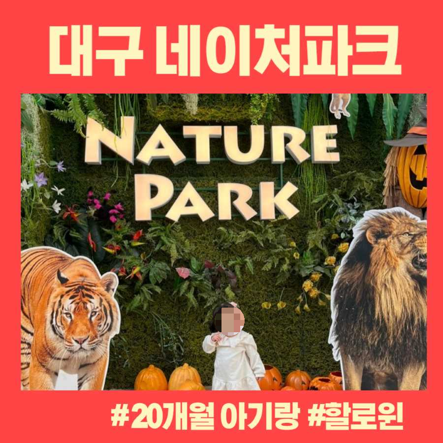 대구 아기랑 갈만한 곳 - 네이처파크
