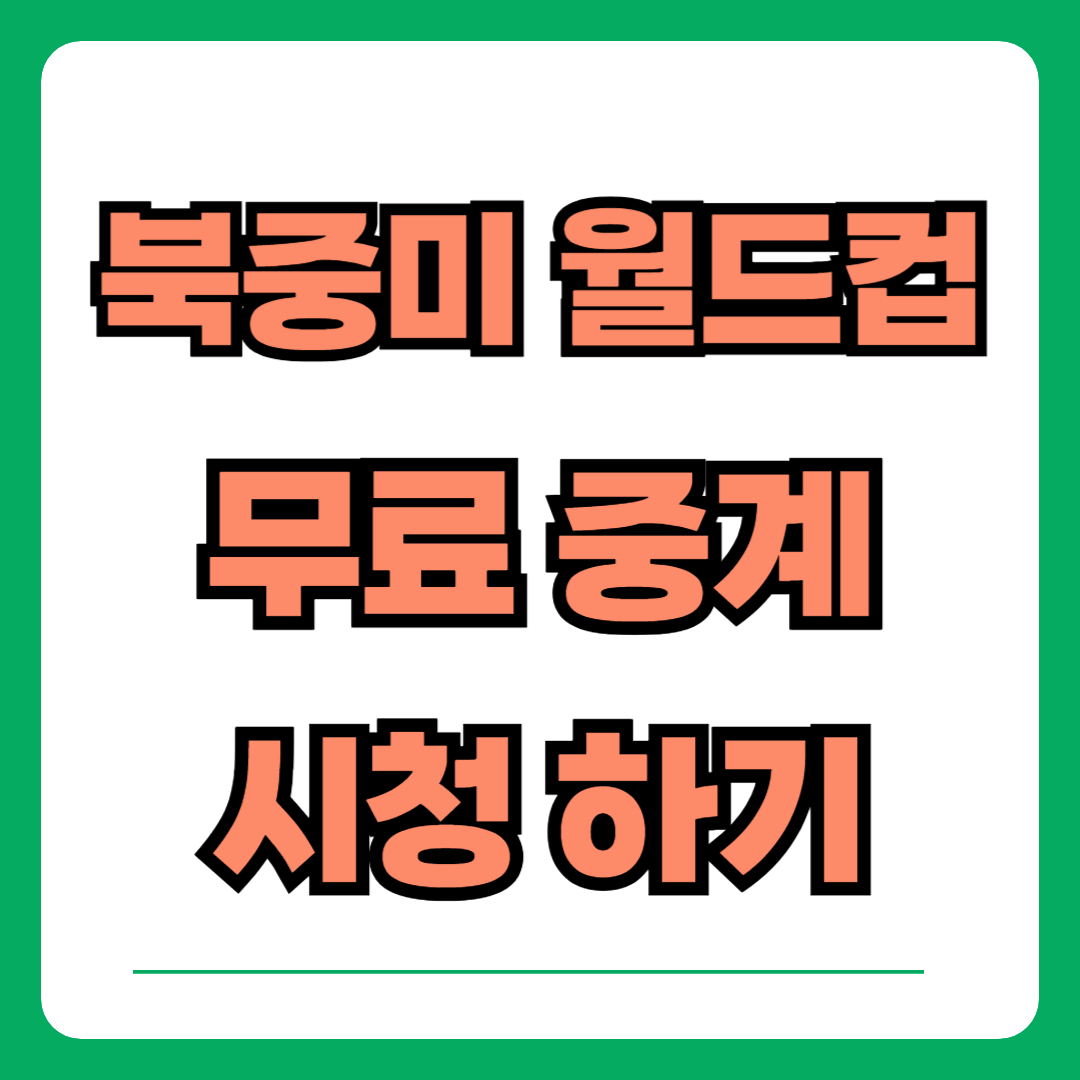 월드컵 경기 무료 시청