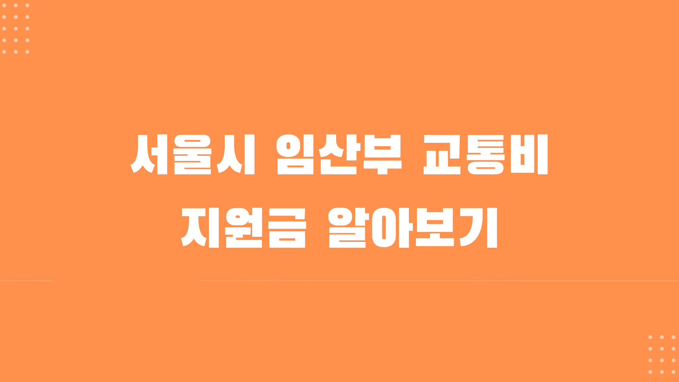 서울시 교통비 지원금