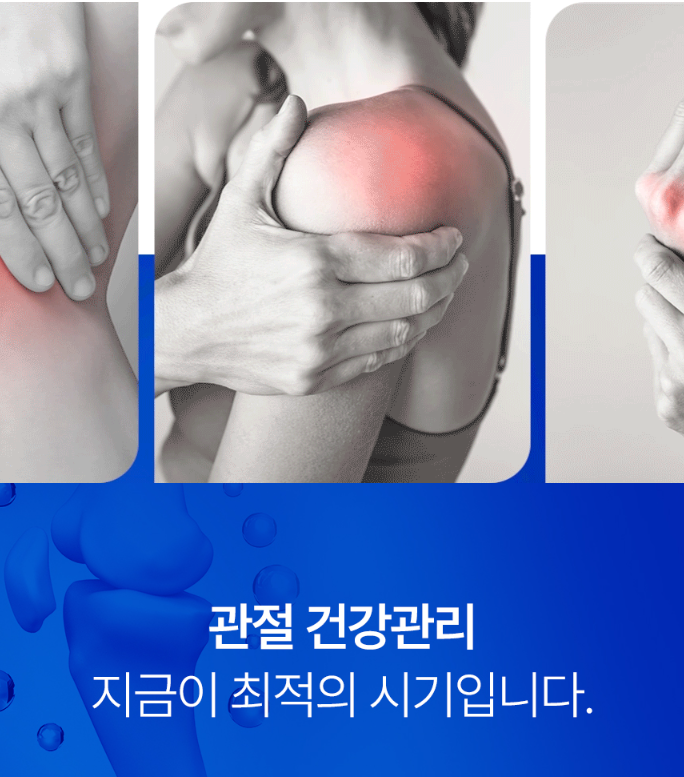 솔티스 타마플렉스