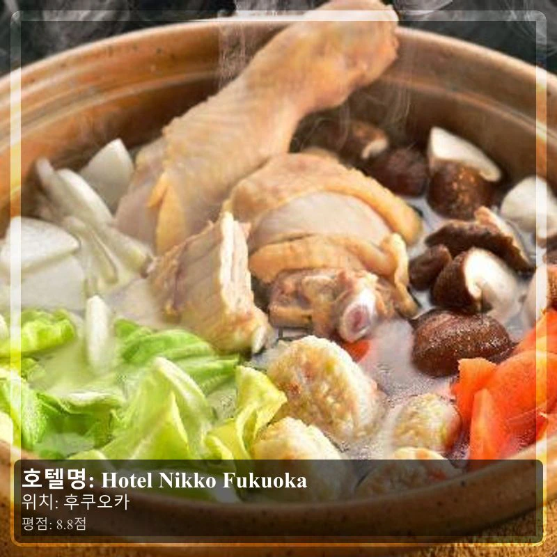 Hotel Nikko Fukuoka_3