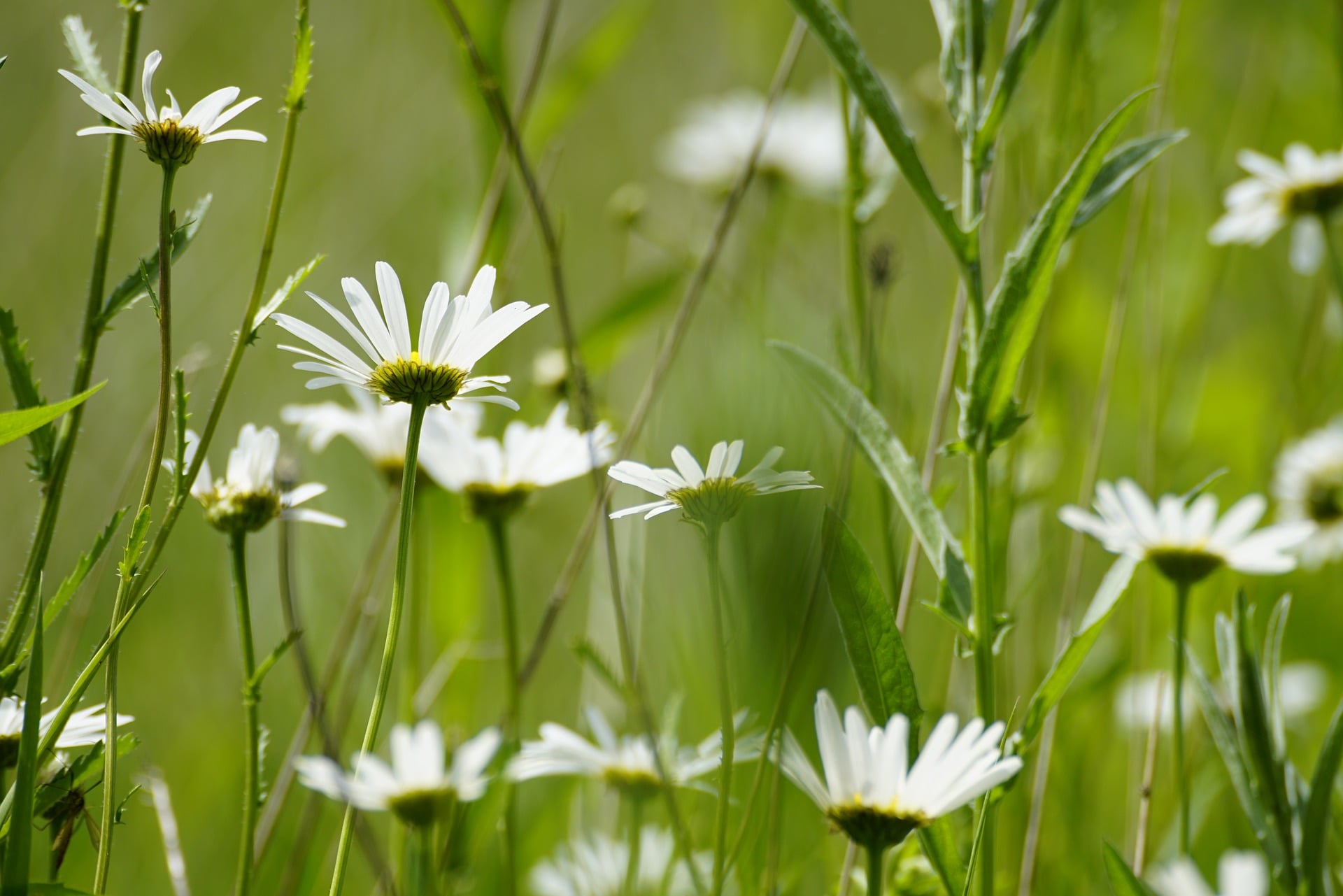 2026 서울 요양보호사 시험일정