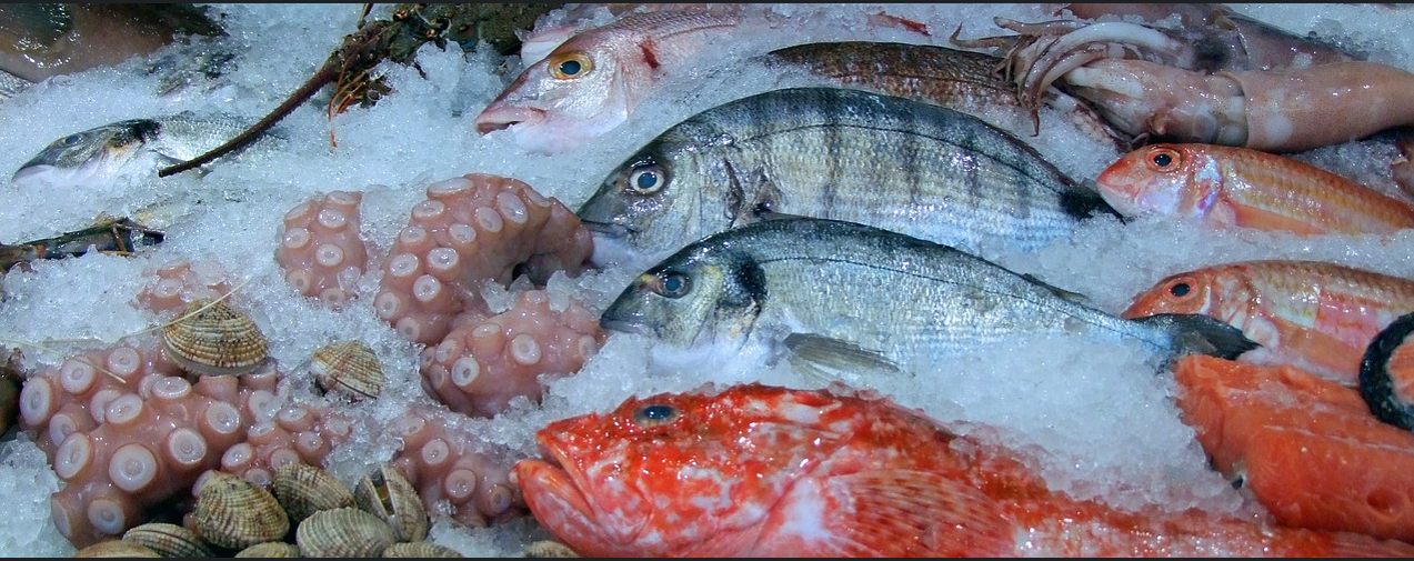 냉장 생선 신선도: 유통기한 연장의 비밀