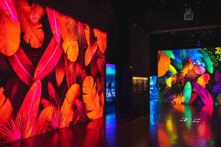 제주 자연을 담은 미디어아트 속 몰입감 넘치는 아르떼뮤지엄 전시관 풍경