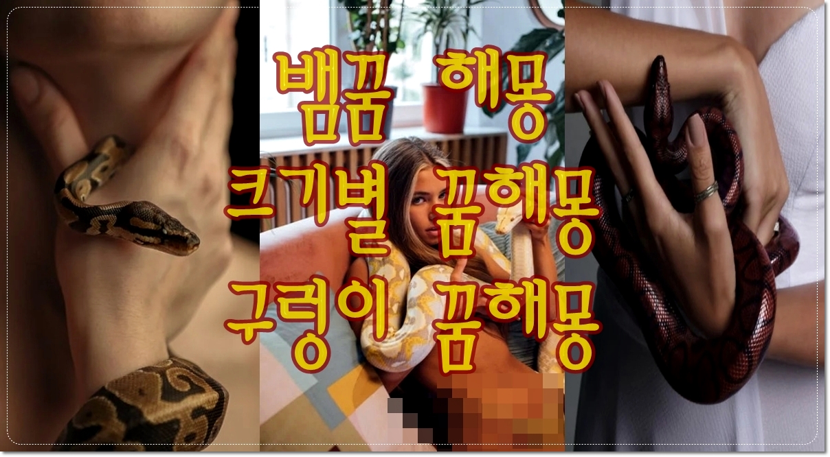 뱀의-행동에-따른-해몽