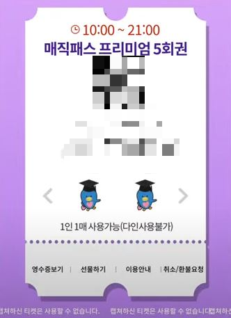롯데월드 매직패스