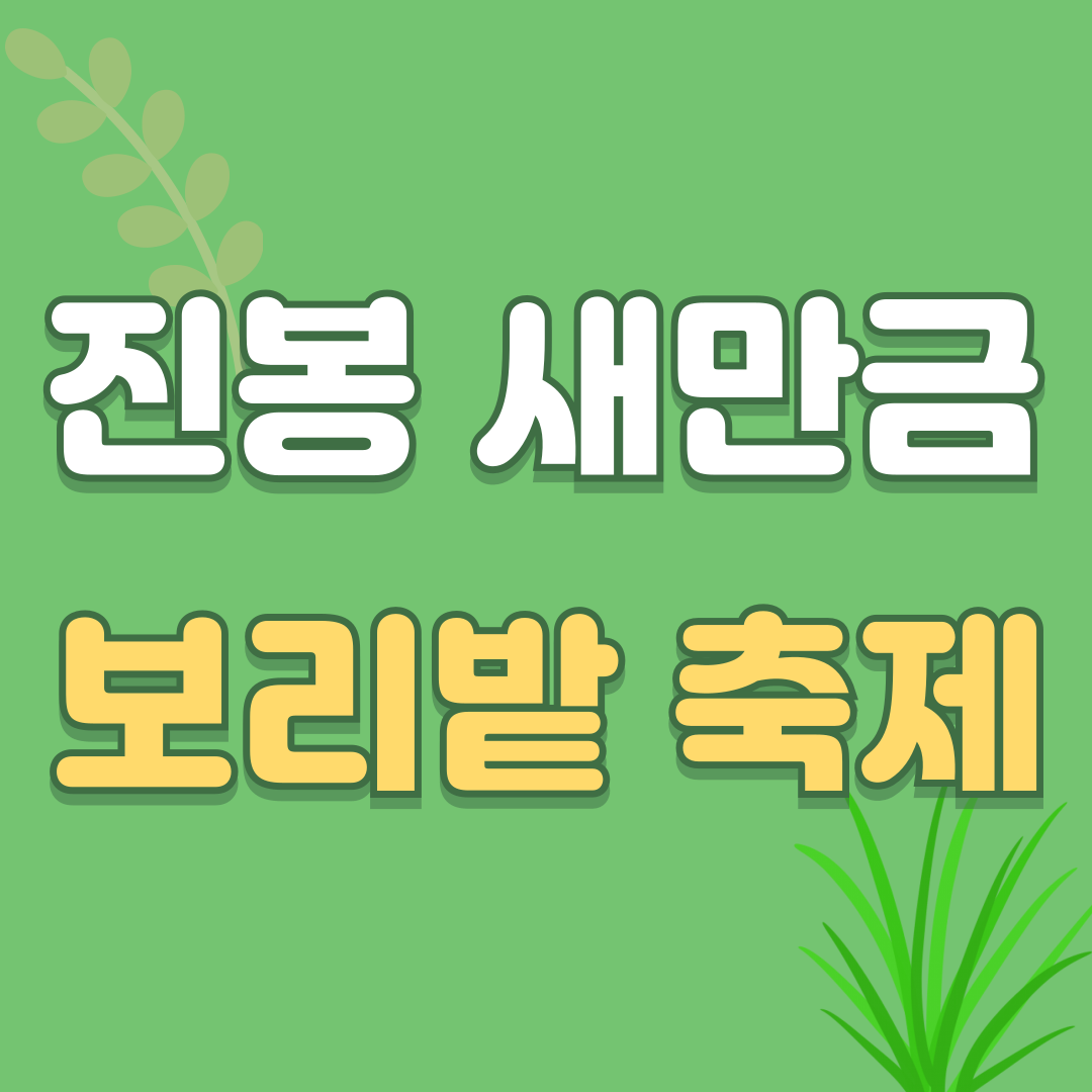 새만금 보리밭 축제