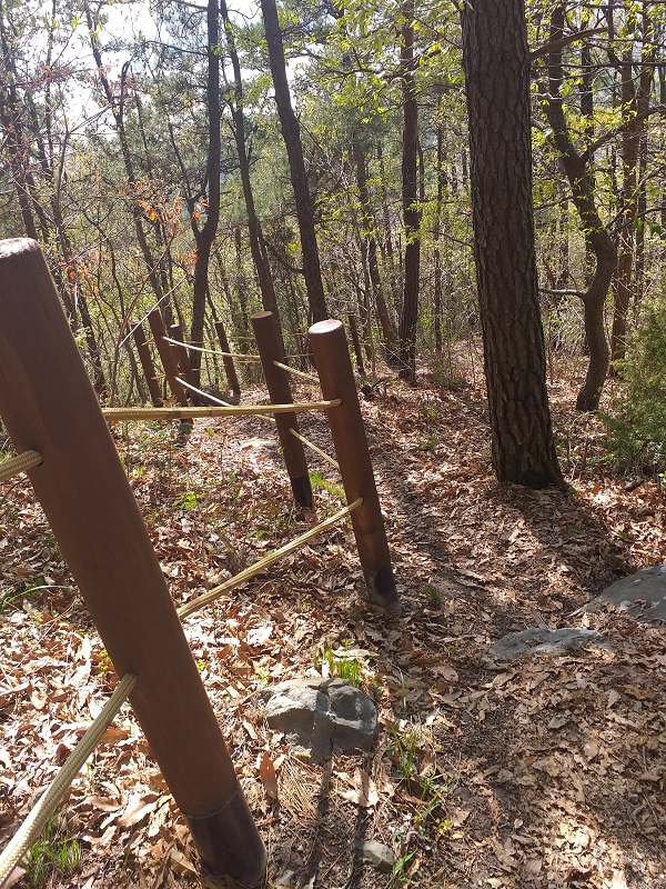 등산 칼로리