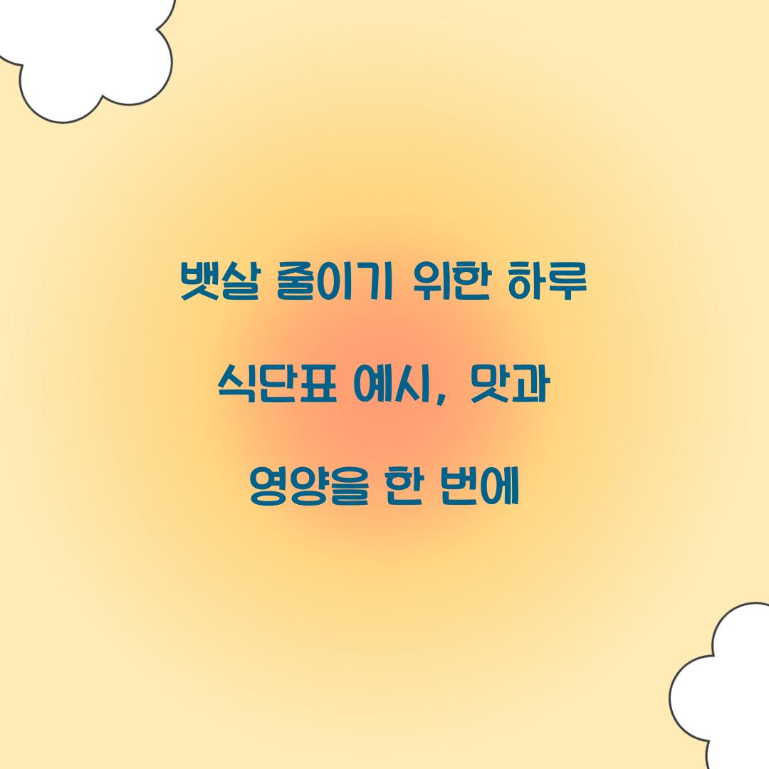 뱃살 줄이기 위한 하루 식단표 예시