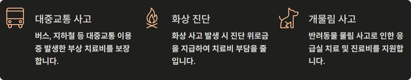 시민안전보험