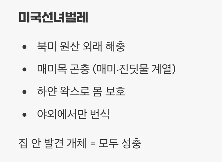 솜뭉치처럼 생긴 이 녀석의 정체